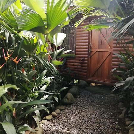 Arenal Rustic Lodge Alajuela Eksteriør billede