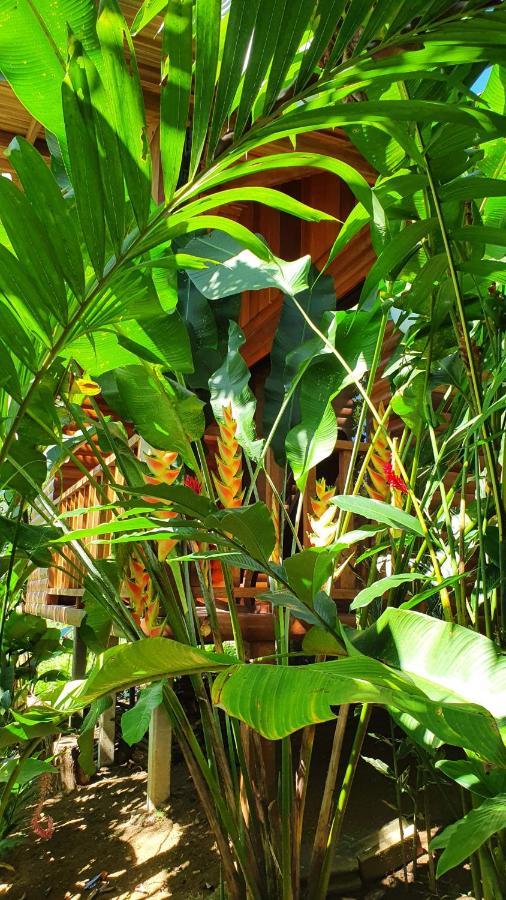 Arenal Rustic Lodge Alajuela Eksteriør billede