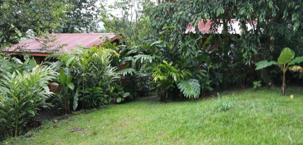Arenal Rustic Lodge Alajuela Eksteriør billede