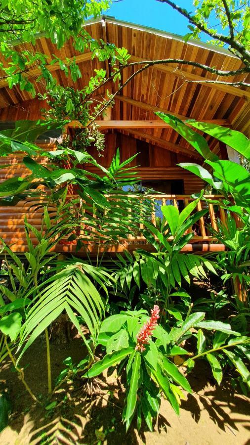 Arenal Rustic Lodge Alajuela Eksteriør billede