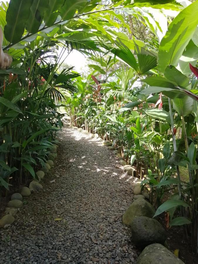 Arenal Rustic Lodge Alajuela Eksteriør billede